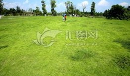 青青青草国产免费