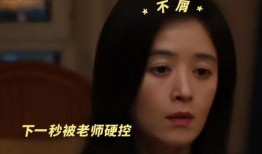 国产精视频,引领视听新潮流的匠心之作