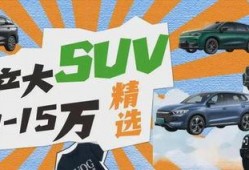 精选国产,精选国产生态的崛起与未来展望