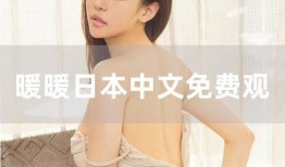 国产系列欧美系列在线视频,在线视频盛宴的精彩对决