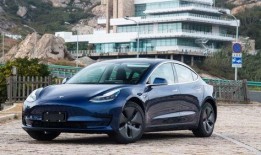 国产琪琪,琪琪的奇幻冒险之旅