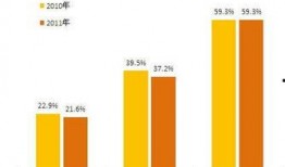国产a网,引领潮流的本土创新力量