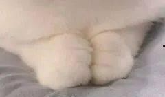 国产a斤,引领行业新潮流的匠心之作