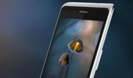 手机国产在线,在线市场的新星闪耀