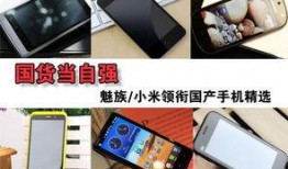 精选国产,精选国产生态的崛起与未来展望